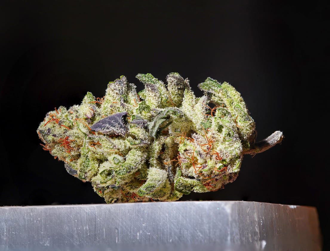 Cannabis Flower Bud